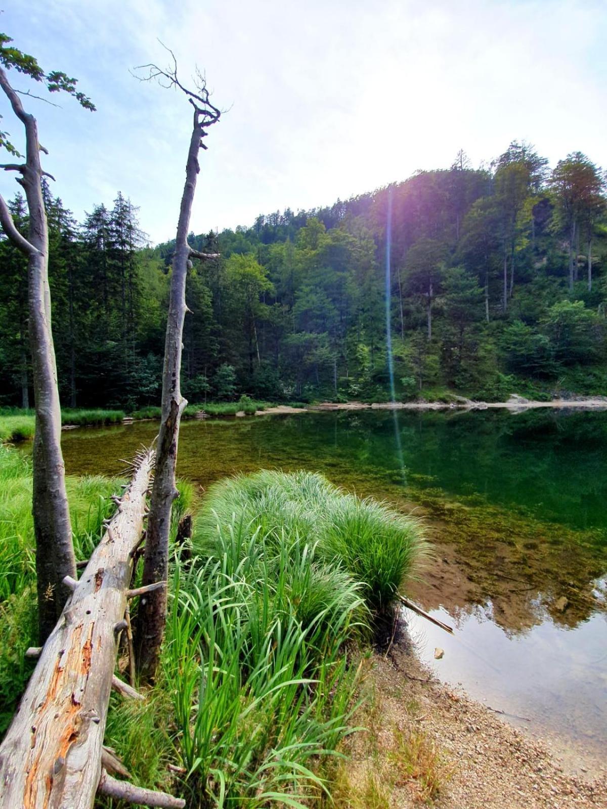 Haus Fuesslmuehle Διαμέρισμα Fuschl am See Εξωτερικό φωτογραφία
